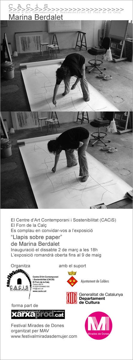 Exposició Llapis sobre paper al Cacis. 2013. Cartell